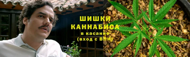 Купить наркотики Аша Cocaine  Меф мяу мяу  Бошки Шишки 